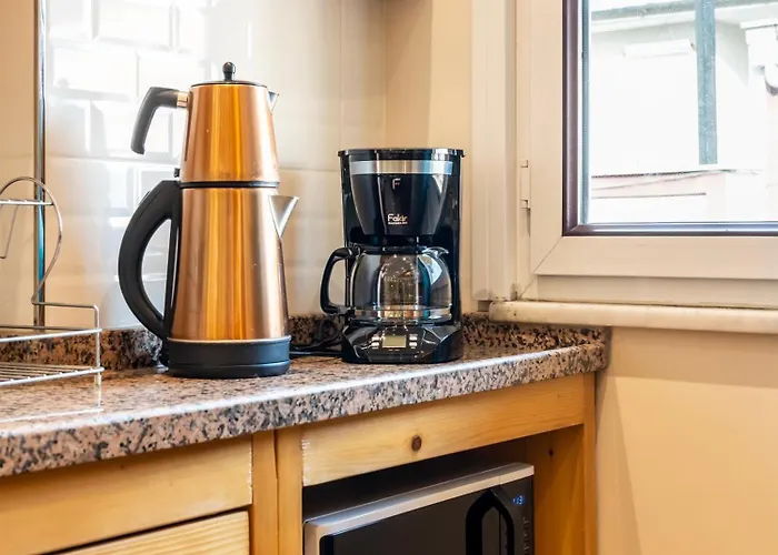 公寓式酒店 Maniz 3*